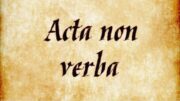 Latin phrases