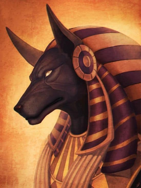 Anubis